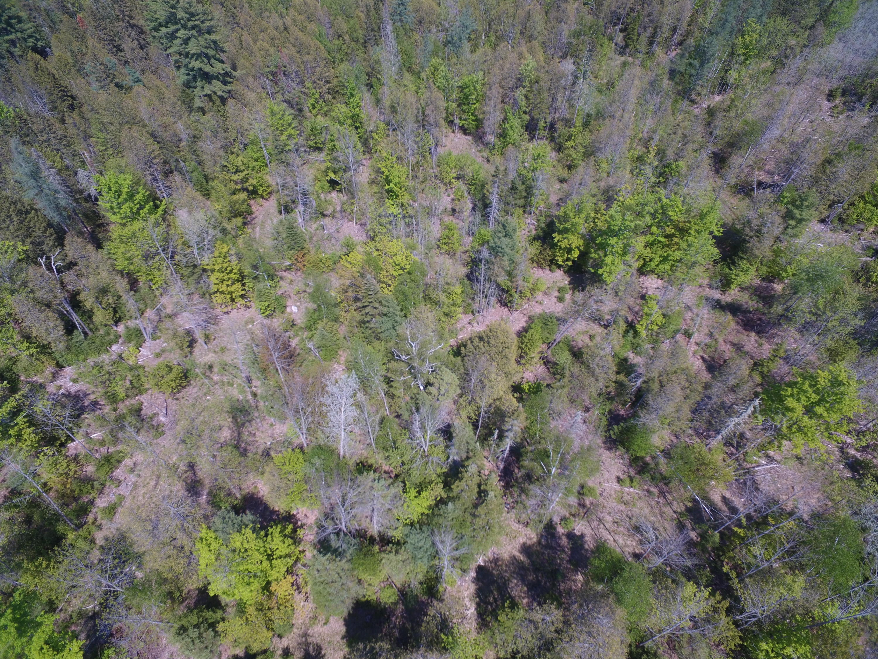 Lot 13 North Road Lee, ME 04455 - Photo 14 of 22 DJI_0030