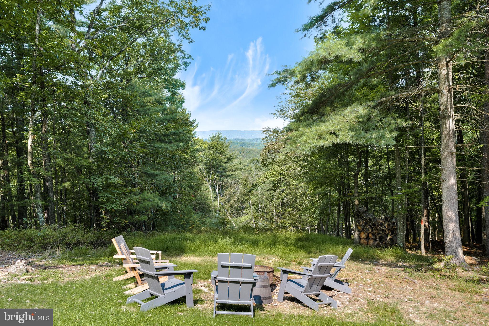 724 North Maple Road Mount Jackson, VA 22842 - Photo 8 of 29 Enjoy the firepit and take in the views