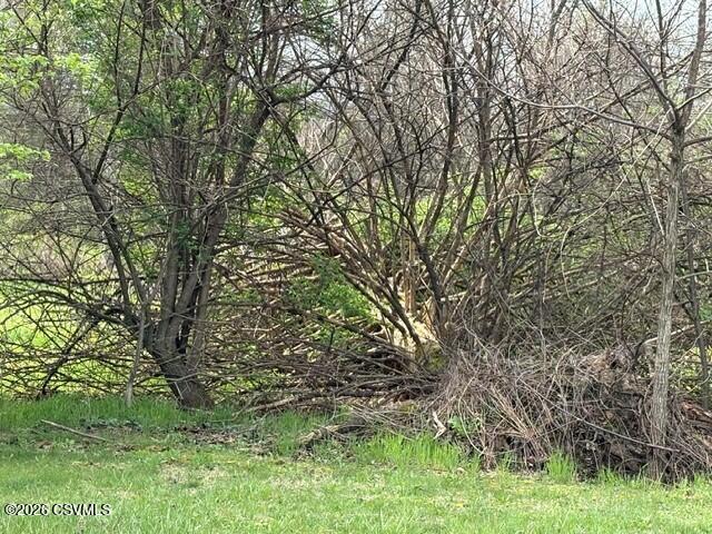 County Line Road Winfield, PA 17889 - Photo 2 of 4