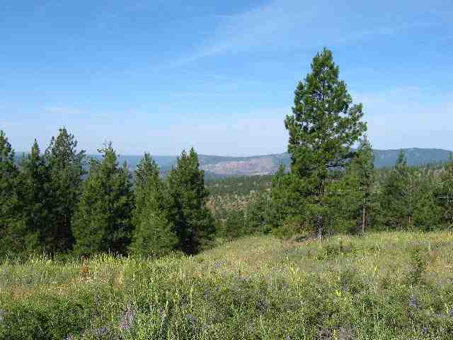 Lot 15 Quail Ridge Way Deer Park, WA 99006 - Photo 2 of 8 Gallery Image 2