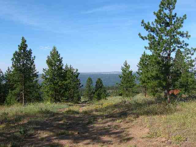 Lot 15 Quail Ridge Way Deer Park, WA 99006 - Photo 4 of 8 Gallery Image 4