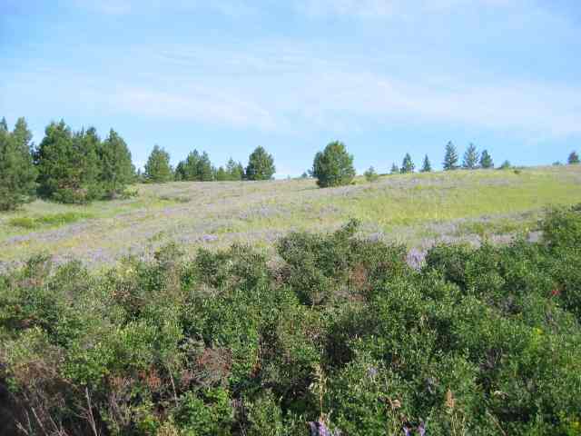 Lot 15 Quail Ridge Way Deer Park, WA 99006 - Photo 6 of 8 Gallery Image 6