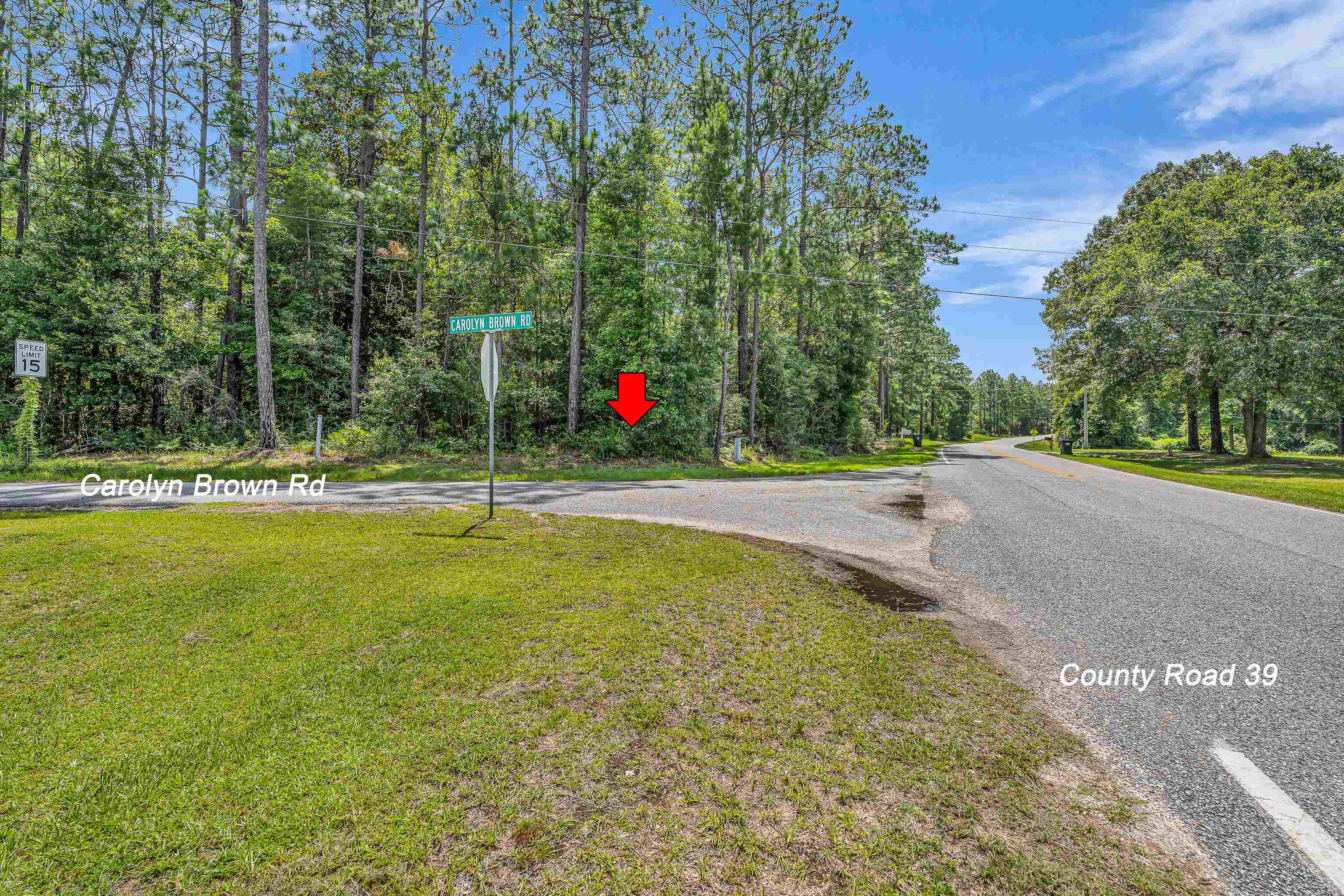 39 County Road 39 Stapleton, AL 36578 - Photo 6 of 16 Community