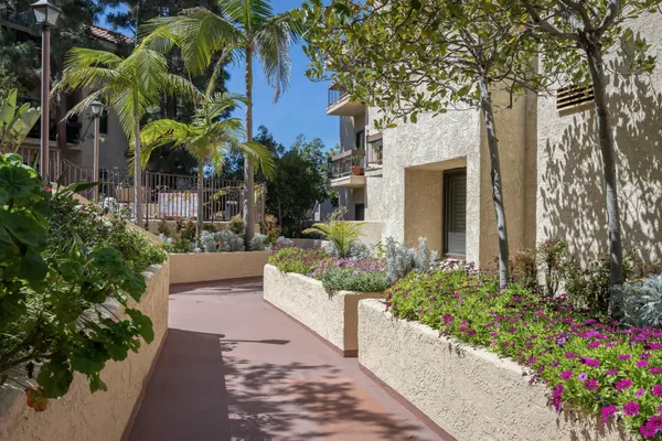a view of a house with potted plants and large trees