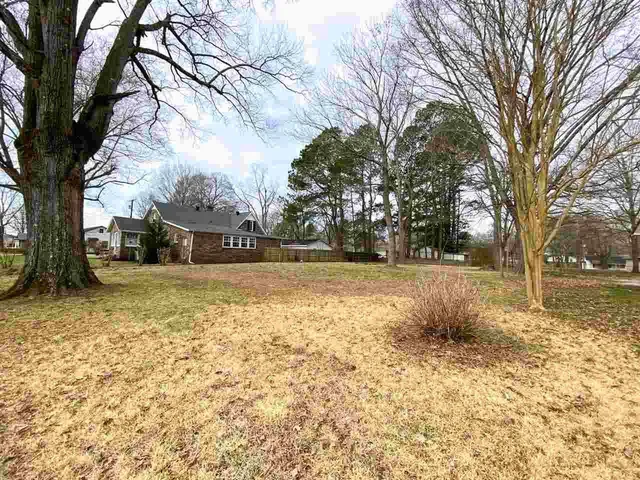 a view of road with trees