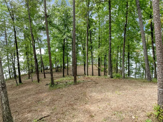 $3,999,000 | 115 Sandy Hollow, Six Mile, SC 29682