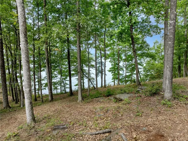 $3,999,000 | 115 Sandy Hollow, Six Mile, SC 29682