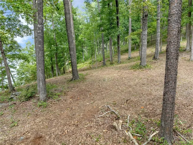 $3,999,000 | 115 Sandy Hollow, Six Mile, SC 29682