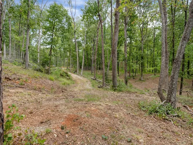 $3,999,000 | 115 Sandy Hollow, Six Mile, SC 29682