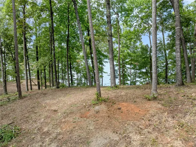 $3,999,000 | 115 Sandy Hollow, Six Mile, SC 29682