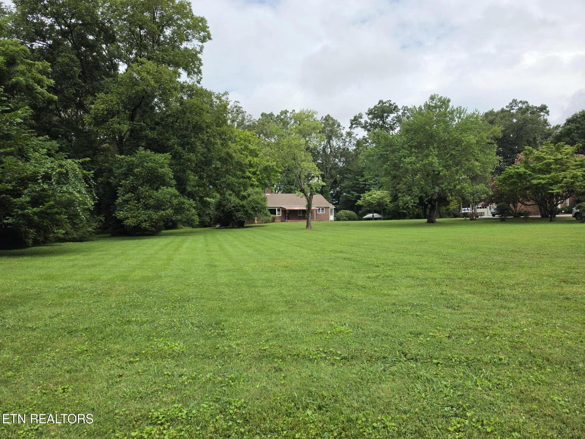 1211 Craig Road Knoxville, TN 37919 - Photo 4 of 42 Front yard