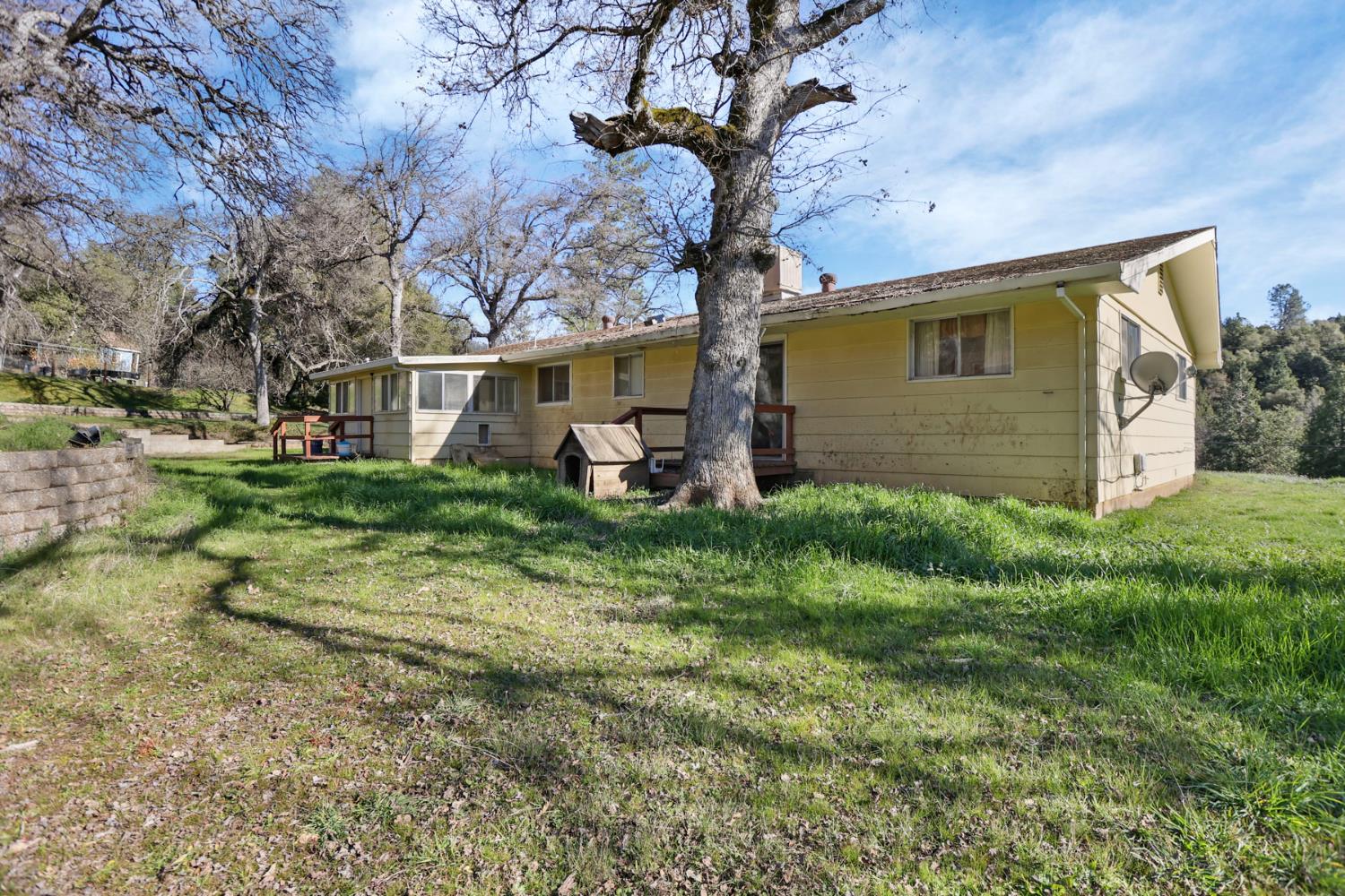 20200 Tuolumne Road North Tuolumne, CA 95379 - Photo 12 of 43 a view of a backyard with plants