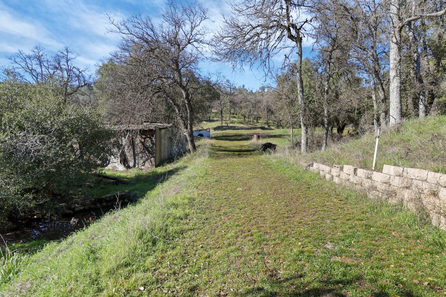 20200 Tuolumne Road North Tuolumne, CA 95379 - Photo 14 of 43 a view of a yard with large trees