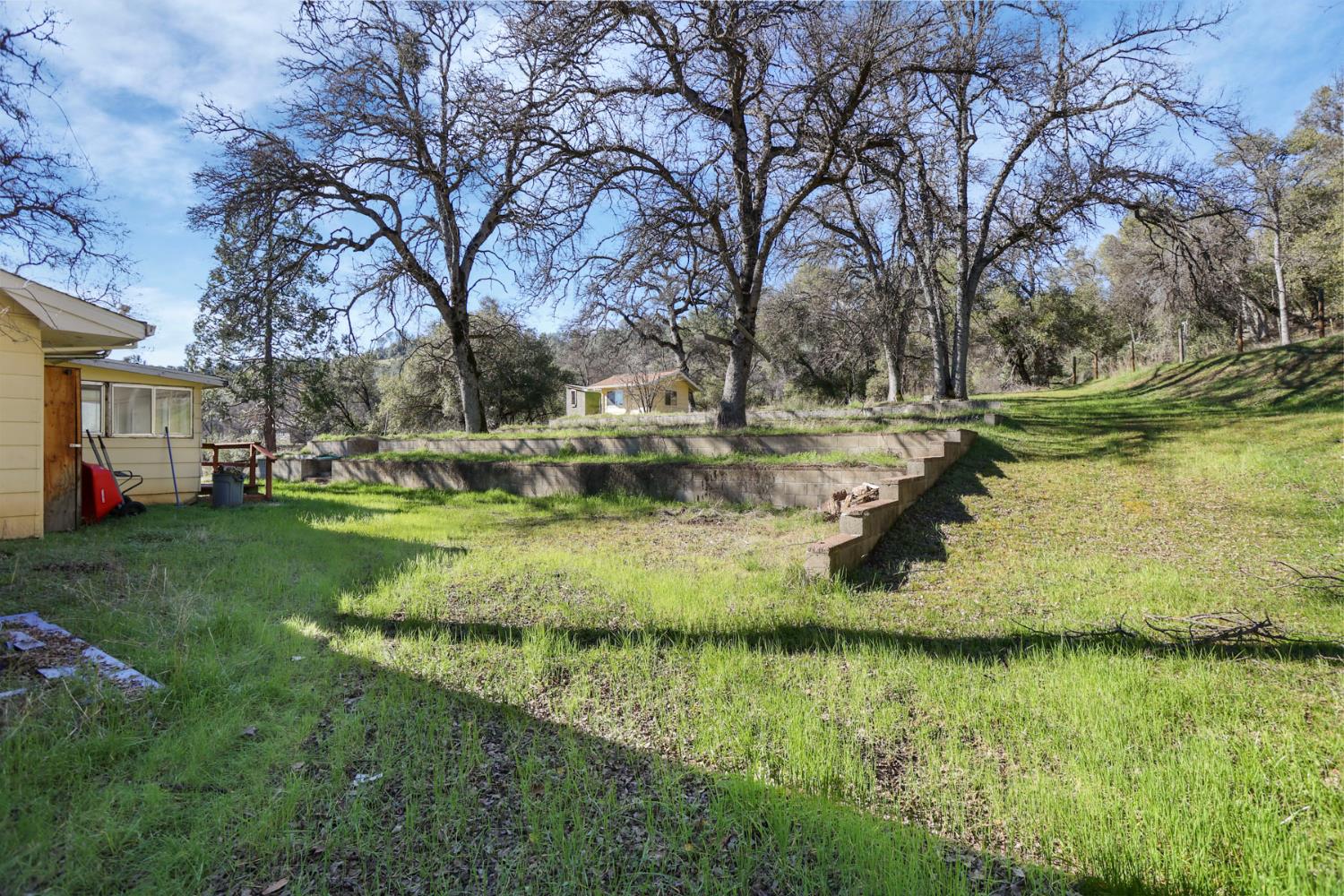 20200 Tuolumne Road North Tuolumne, CA 95379 - Photo 7 of 43 a view of a garden with trees