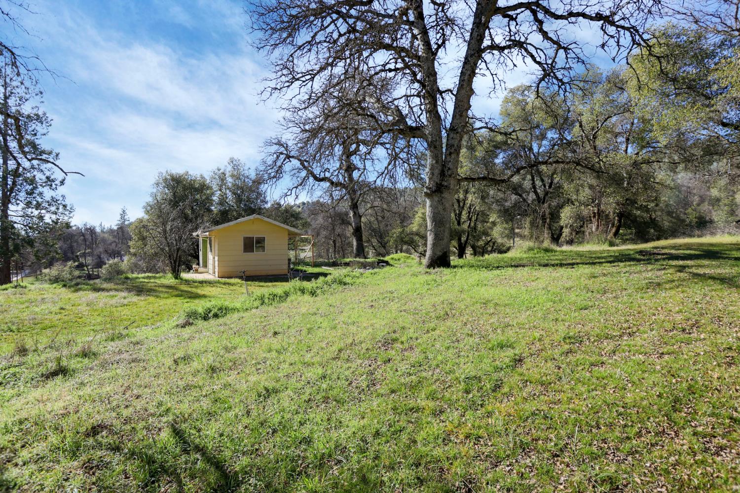 20200 Tuolumne Road North Tuolumne, CA 95379 - Photo 8 of 43 a backyard of a house with lots of green space