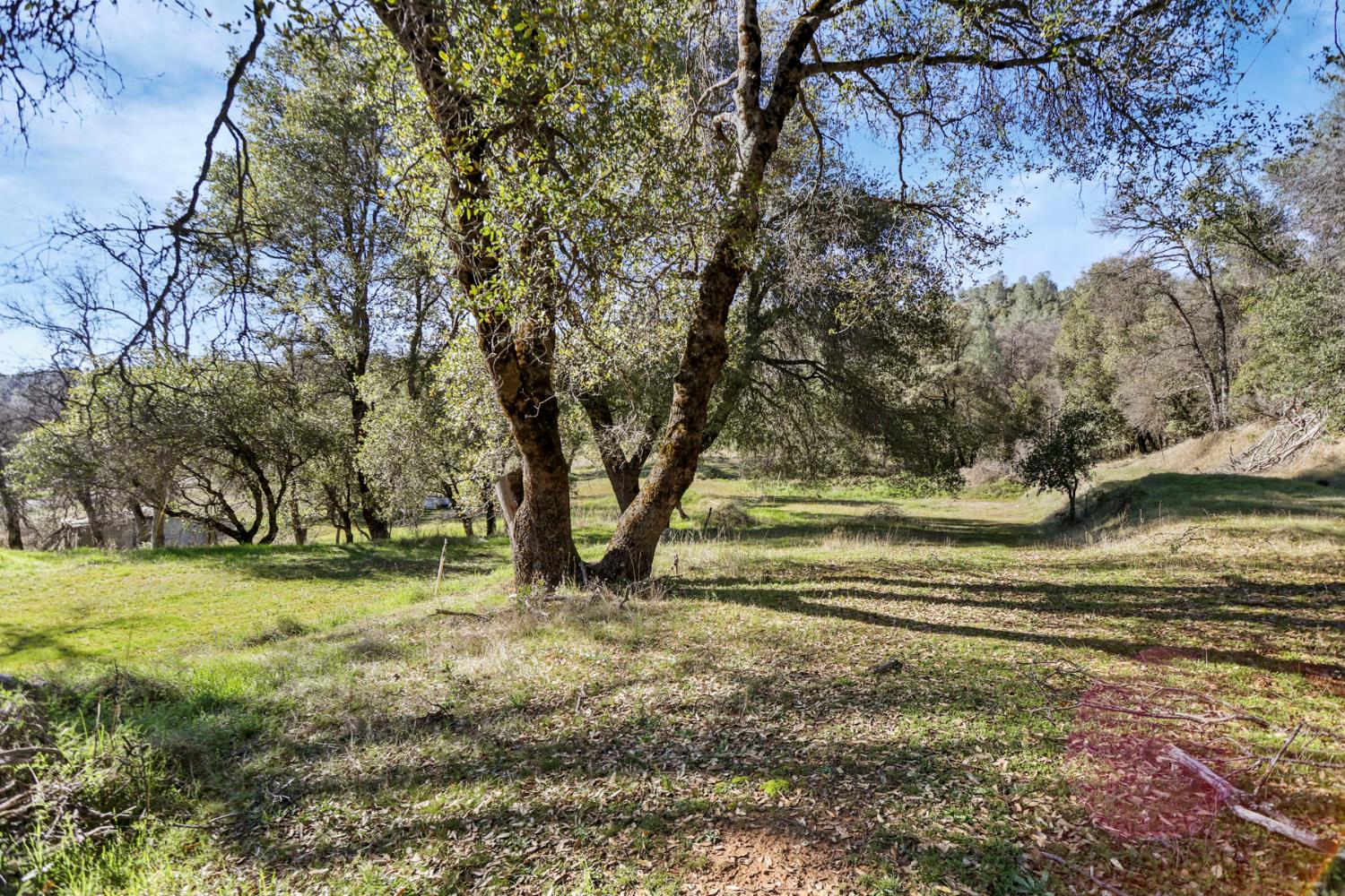 20200 Tuolumne Road North Tuolumne, CA 95379 - Photo 9 of 43 a view of outdoor space with trees
