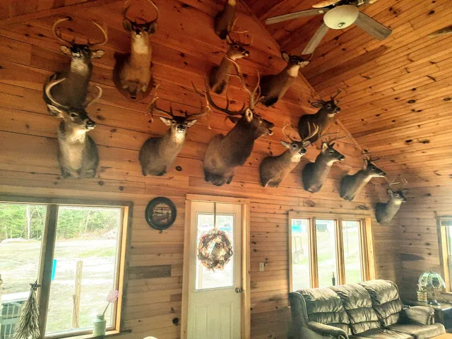 $325,000 | 225 Allagash Road, Allagash, ME 04774