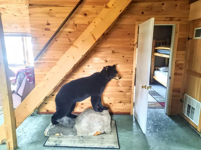 $325,000 | 225 Allagash Road, Allagash, ME 04774