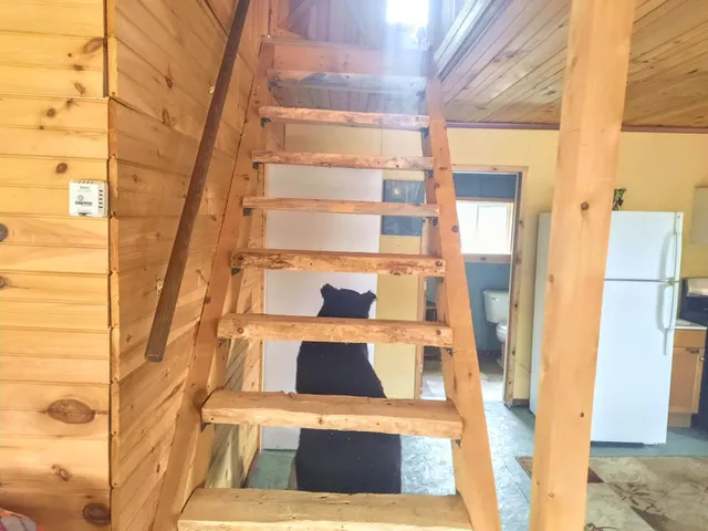 $325,000 | 225 Allagash Road, Allagash, ME 04774