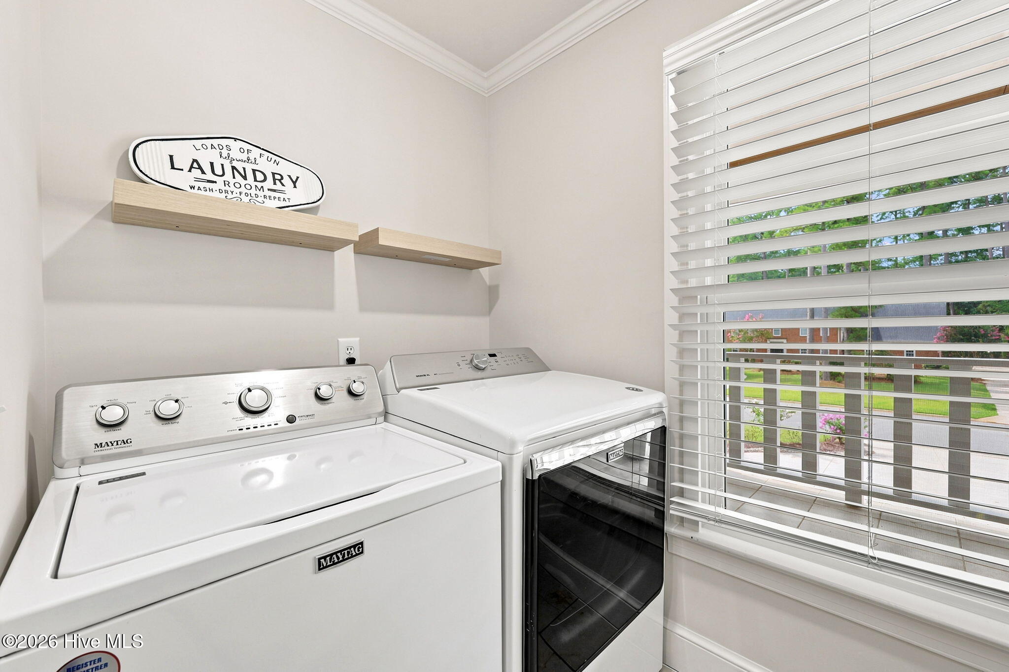 402 Wesley Road Greenville, NC 27858 - Photo 50 of 74 51-web-or-mls-IMG_3879