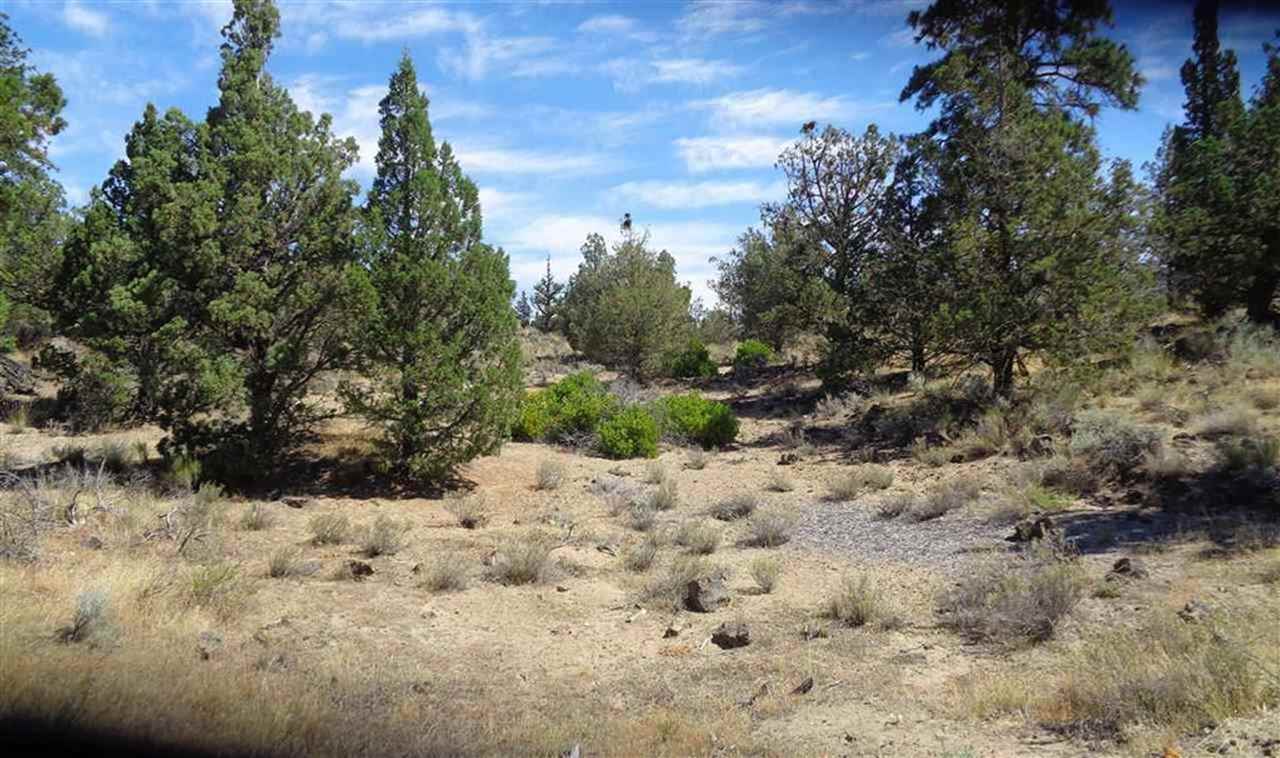 Lot 4 Proteau Road Montague, CA 96064 - Photo 11 of 16 Gallery Image 11