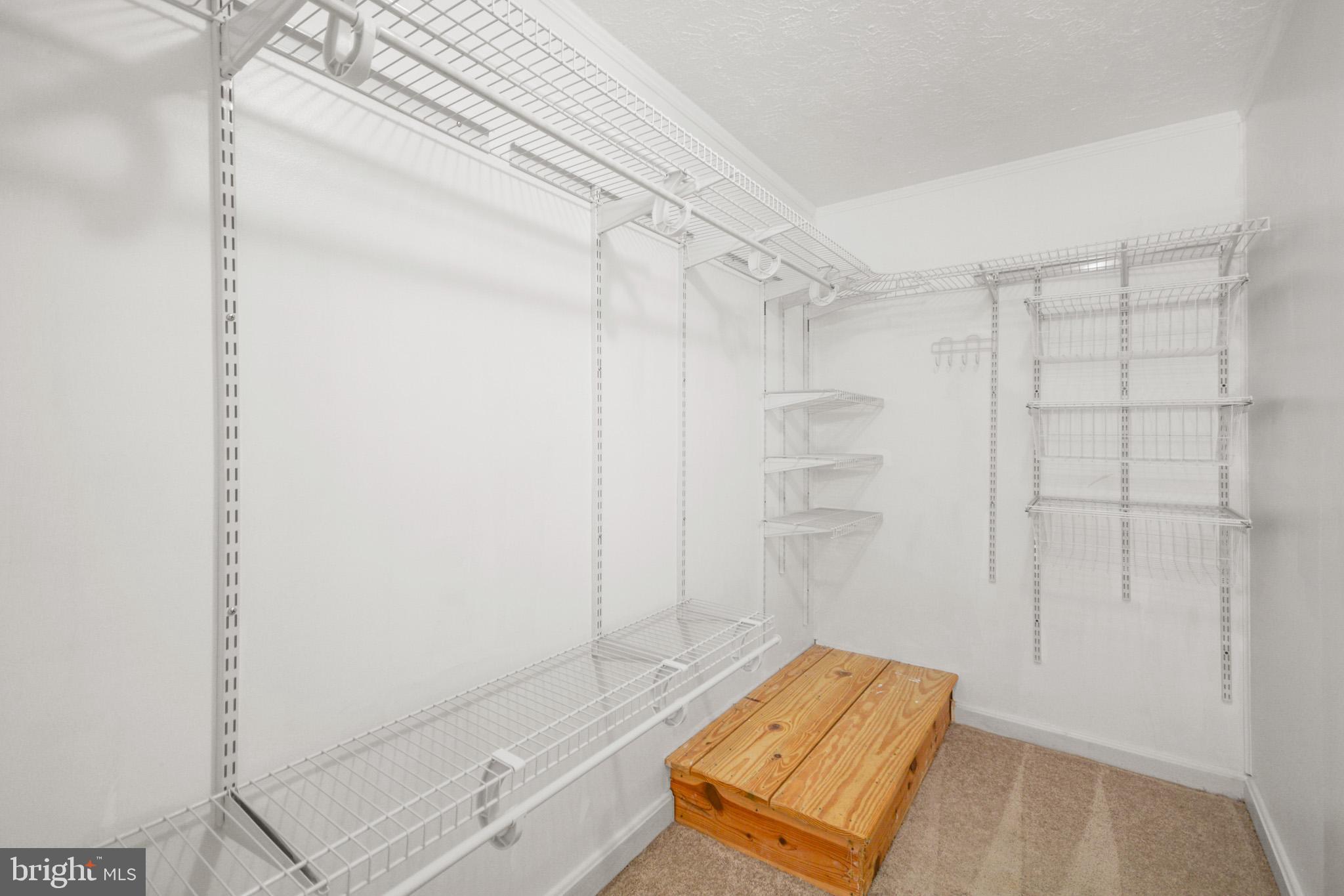 109 Valley View Court Boonsboro, MD 21713 - Photo 16 of 34 Big walk-in closet with shelving