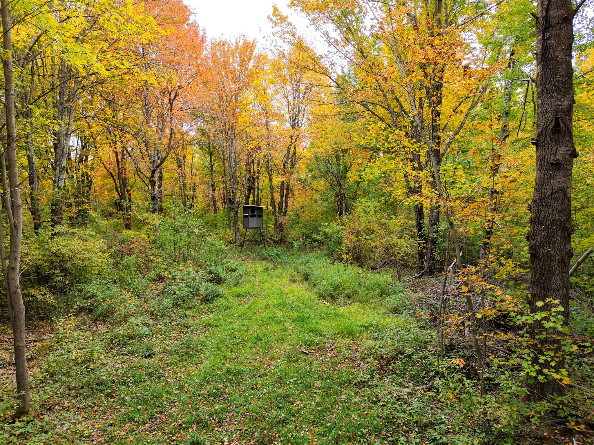 0 County Road Ogema, WI 54459 - Photo 13 of 38 Gallery Image 13
