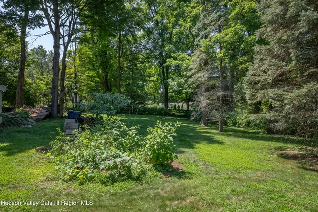 a view of a yard with plants and large trees