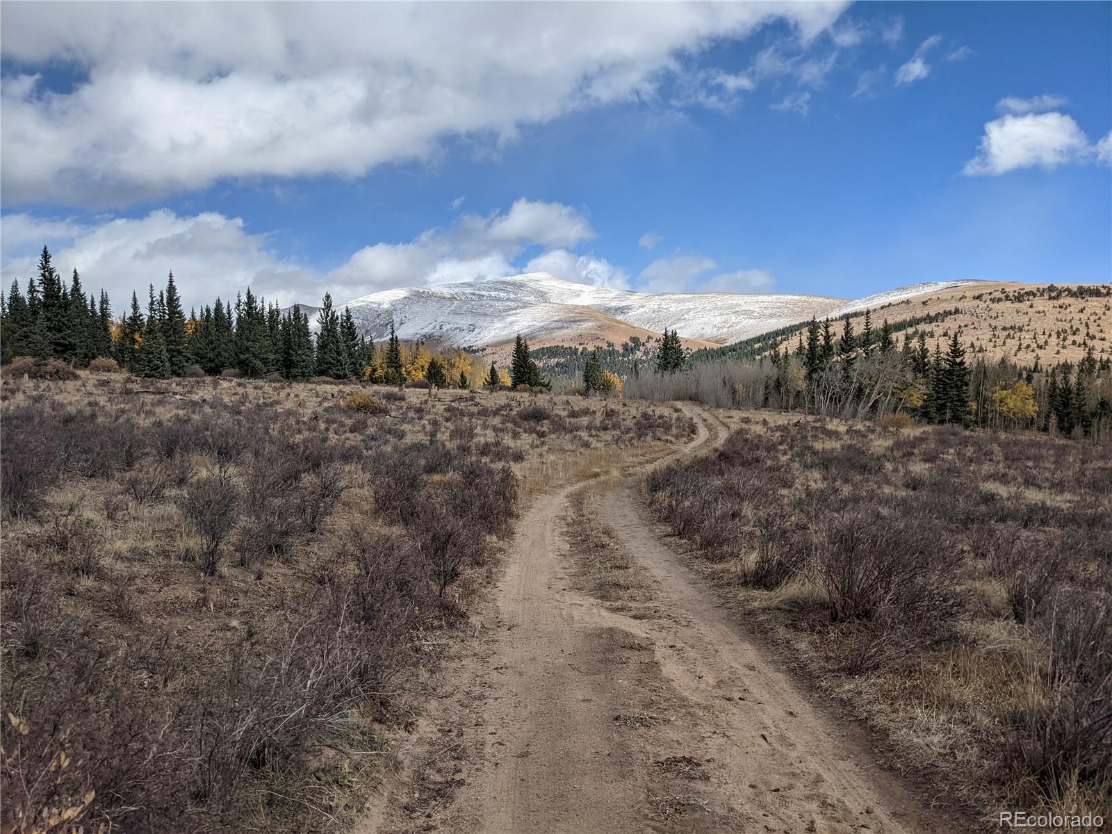 0 Snow Cap Peaks Road Fairplay, CO 80440 - Photo 18 of 20