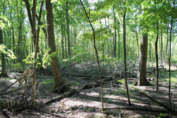 12150 Lone Tree Road Milford, MI 48380 - Photo 15 of 25