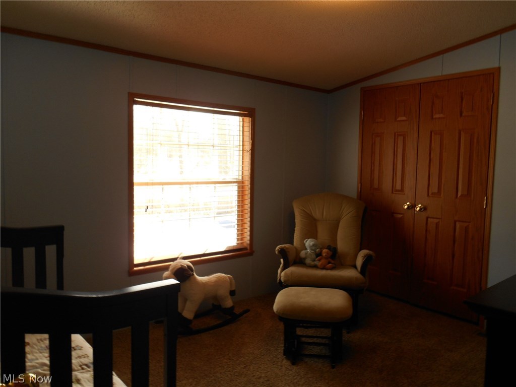 2140 Mahoning Road Deerfield, OH 44411 - Photo 17 of 34 Gallery Image 17