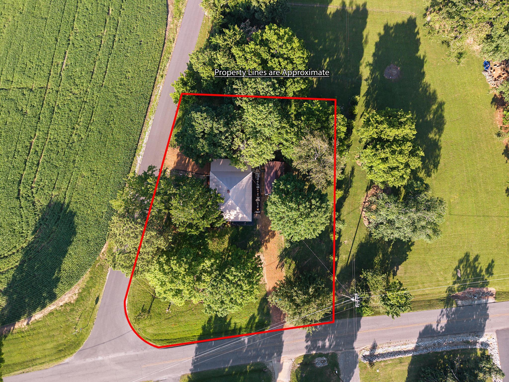466 Union Ridge Road Benton, KY 42025 - Photo 30 of 33 DJI_20260611181713_0002_D copy lines