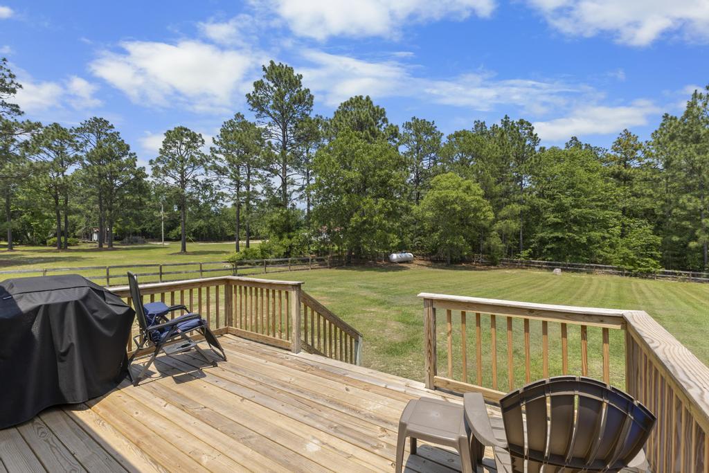 460 Archie Ware Road Ridge Spring, SC 29129 - Photo 22 of 35 IMG_0782