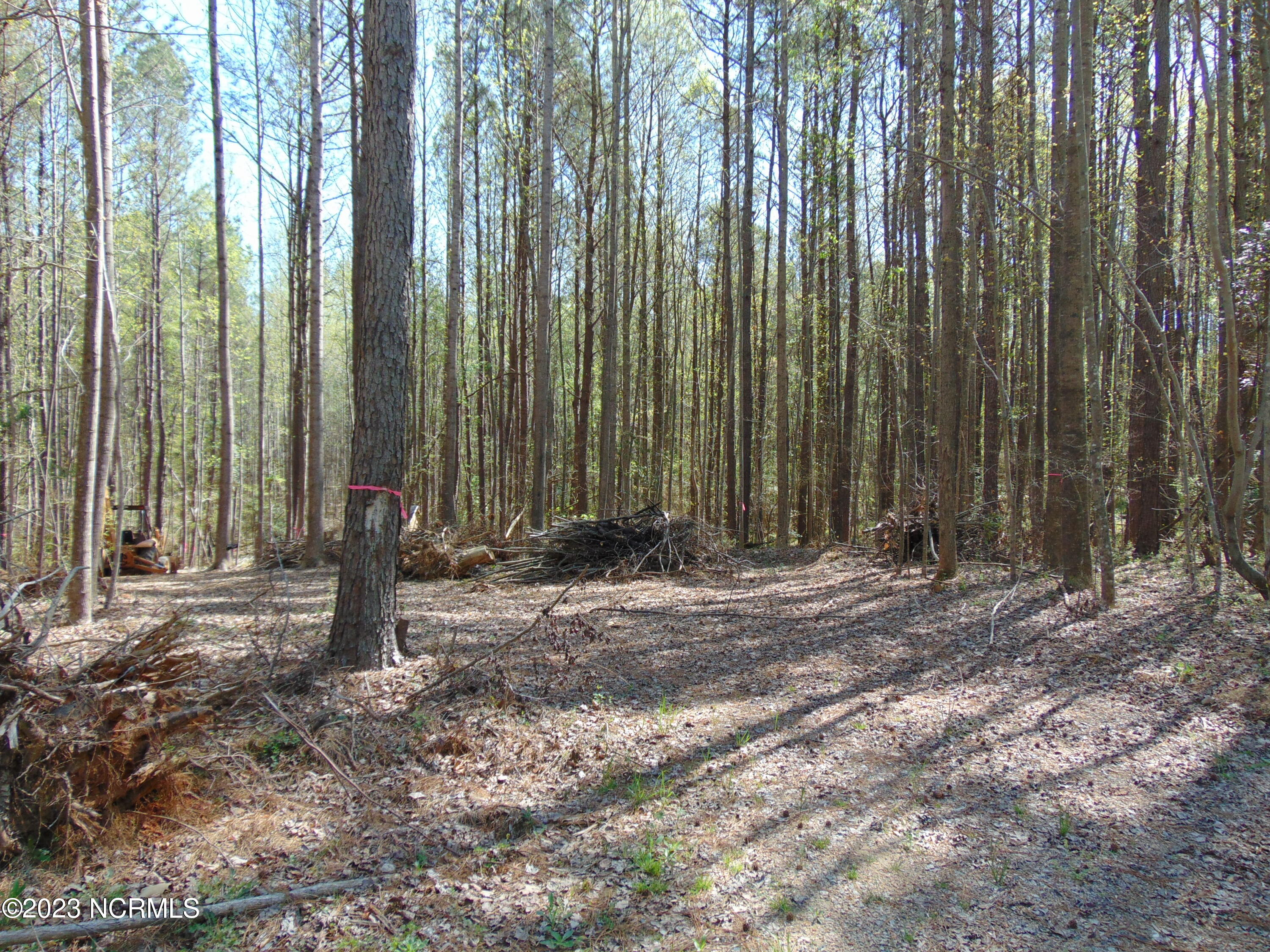 0 Bass Road Spring Hope, NC 27882 - Photo 9 of 9 DSC03452