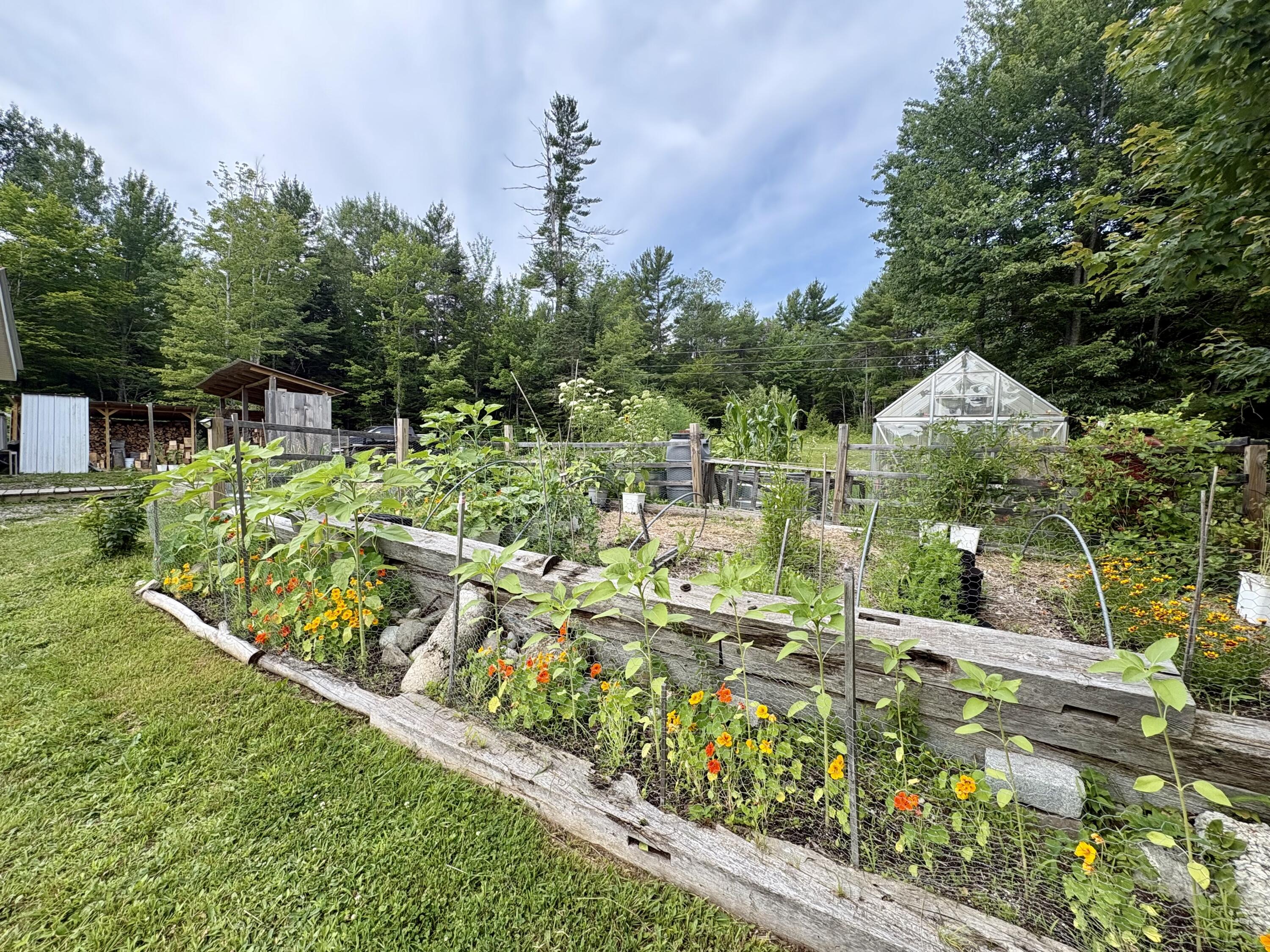 62 Old Keene Road Chester, ME 04457 - Photo 46 of 57 IMG_5104