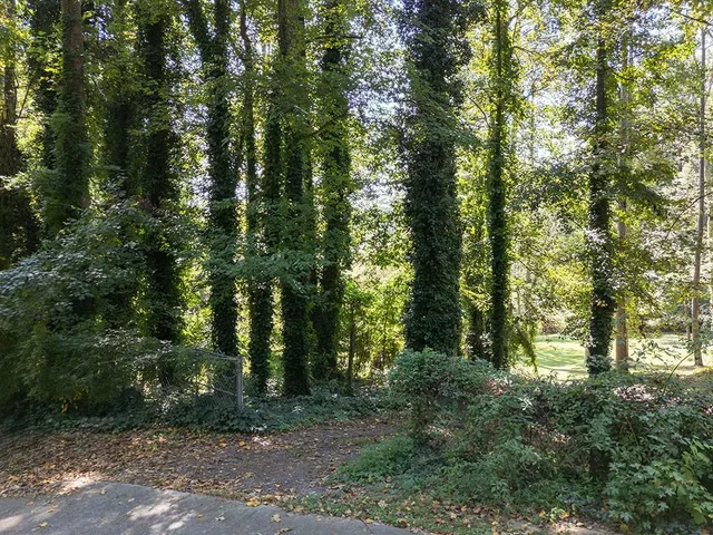 a view of green field with trees in the background
