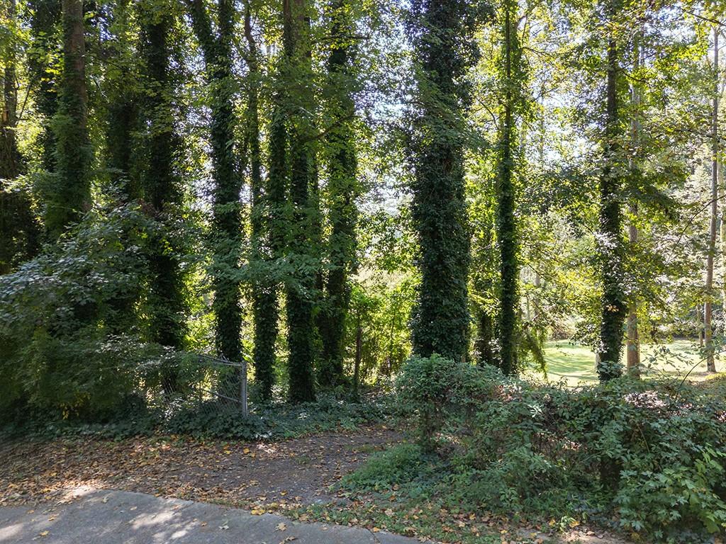 4398 King Valley Drive Southeast Smyrna, GA 30082 - Photo 11 of 17 a view of outdoor space and green space