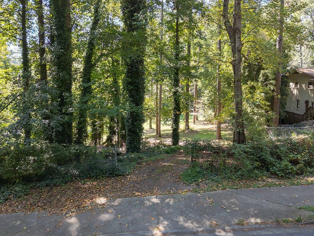 4398 King Valley Drive Southeast Smyrna, GA 30082 - Photo 12 of 17 a view of a forest with trees