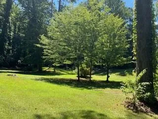 a view of a park with large trees