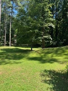 4398 King Valley Drive Southeast Smyrna, GA 30082 - Photo 15 of 17 a view of a park