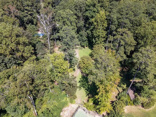 a view of a garden with a tree