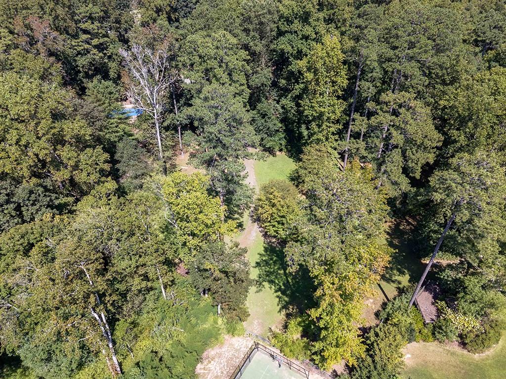 4398 King Valley Drive Southeast Smyrna, GA 30082 - Photo 8 of 17 a view of a forest with a tree