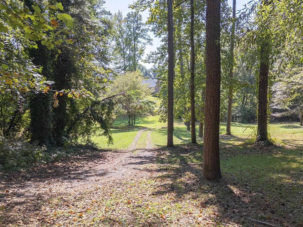 4398 King Valley Drive Southeast Smyrna, GA 30082 - Photo 10 of 17 a view of a garden with a tree