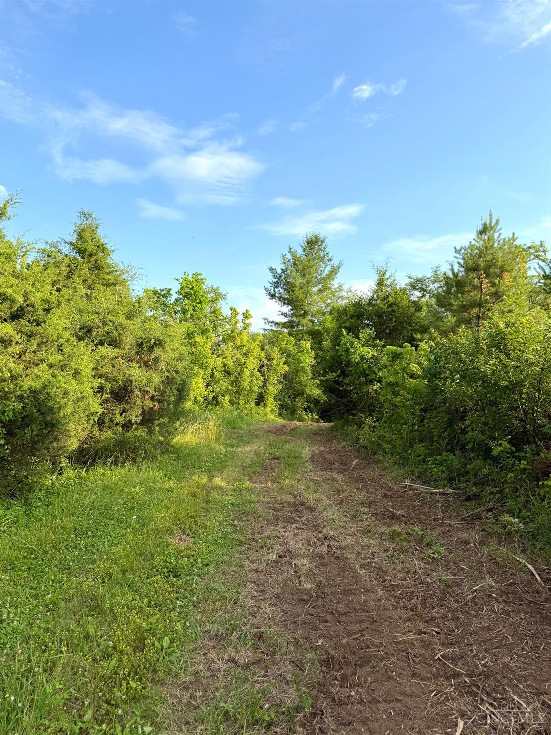 0 North Falls Road Bainbridge, OH 45612 - Photo 85 of 99