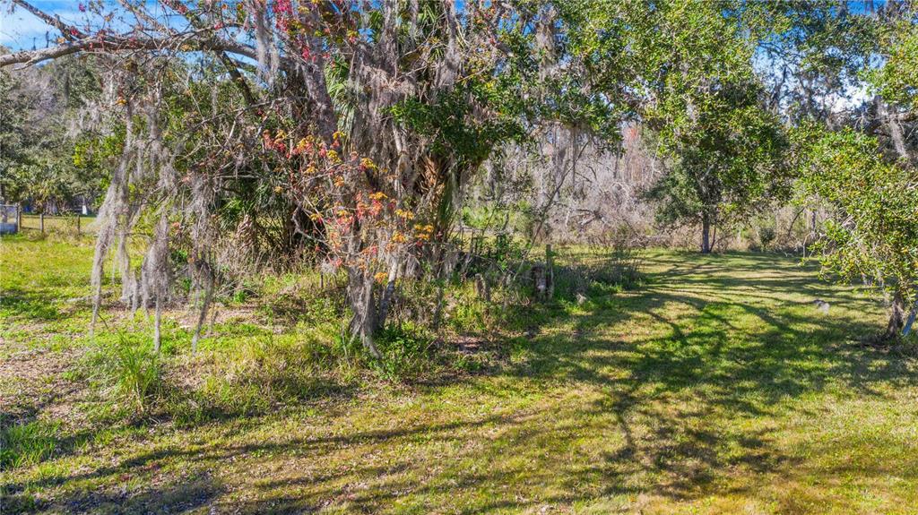 Locke Road Davenport, FL 33837 - Photo 3 of 6