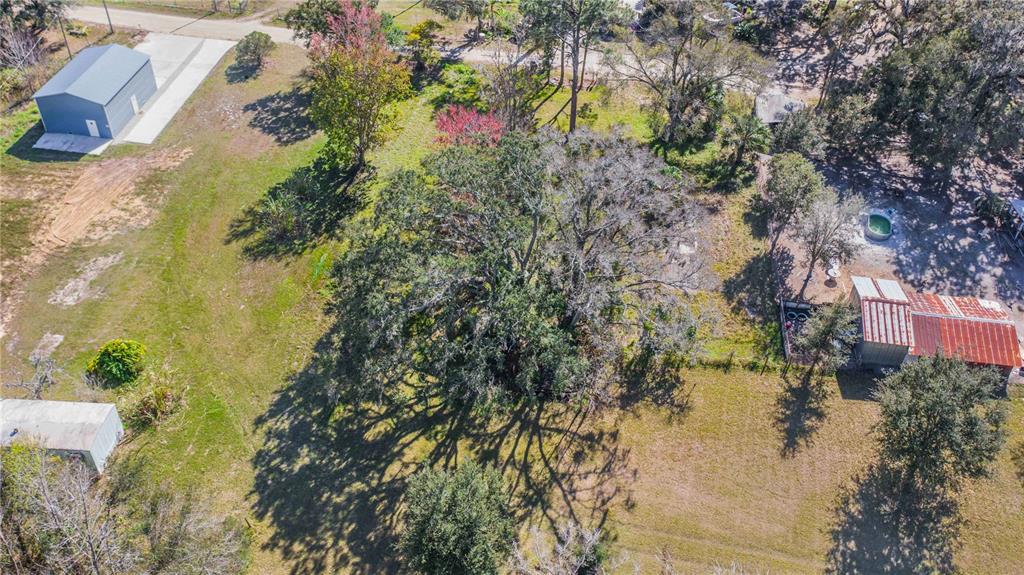 Locke Road Davenport, FL 33837 - Photo 6 of 6