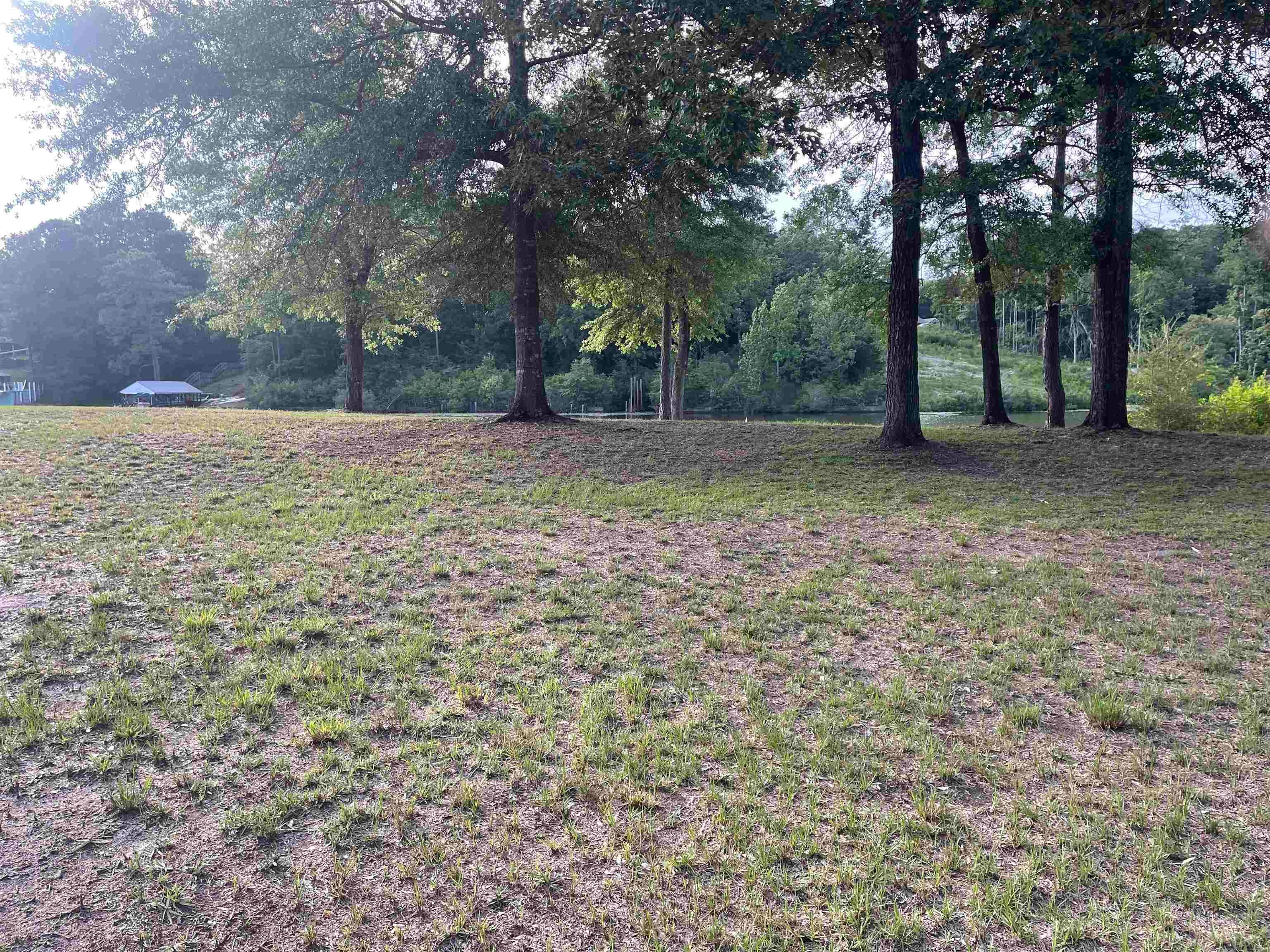 Lot 21 Magnolia Point Samson, AL 36477 - Photo 4 of 6 Gallery Image 4