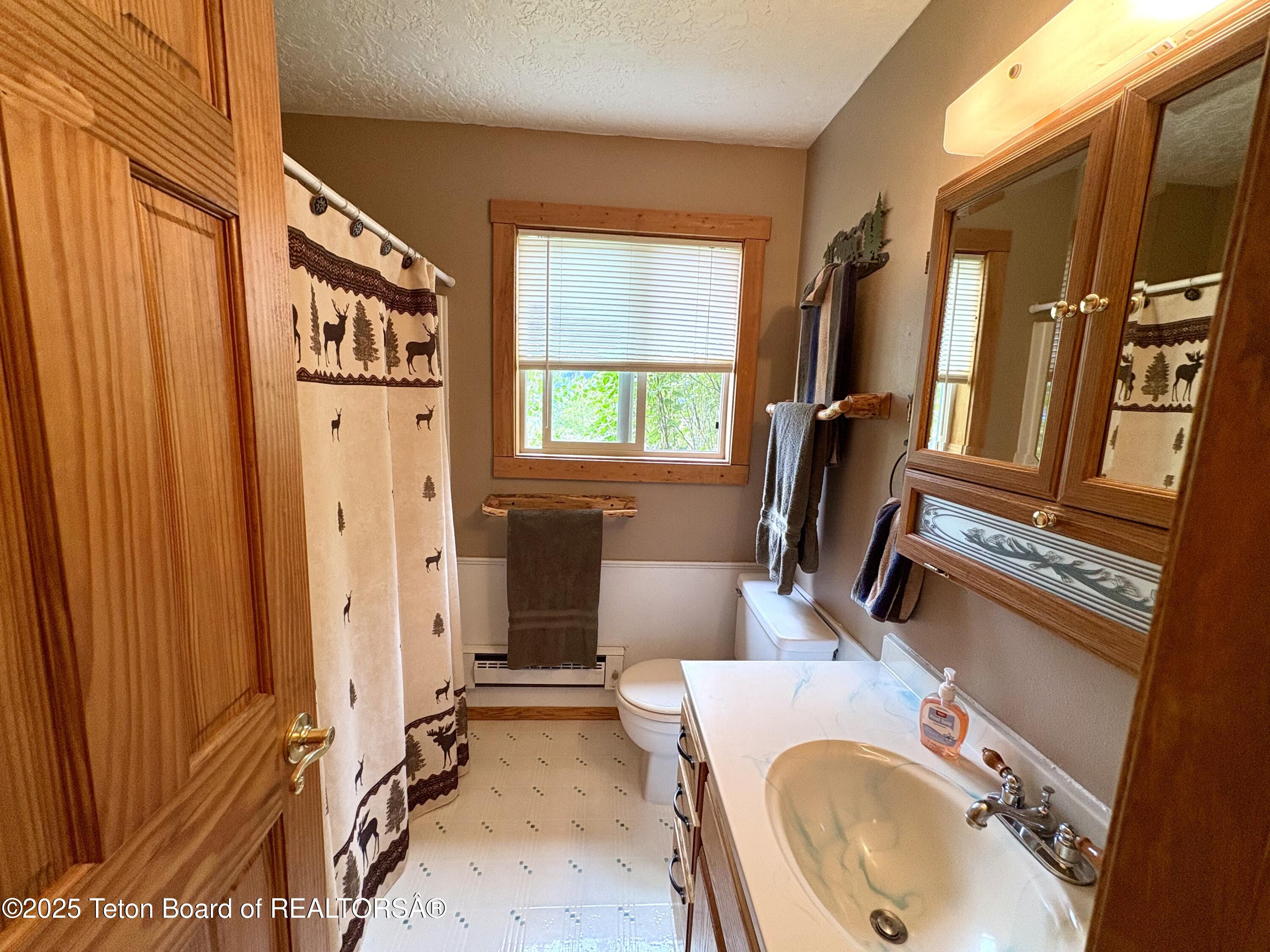 189 Choke Cherry Lane Irwin, ID 83428 - Photo 26 of 64 Guest Bath