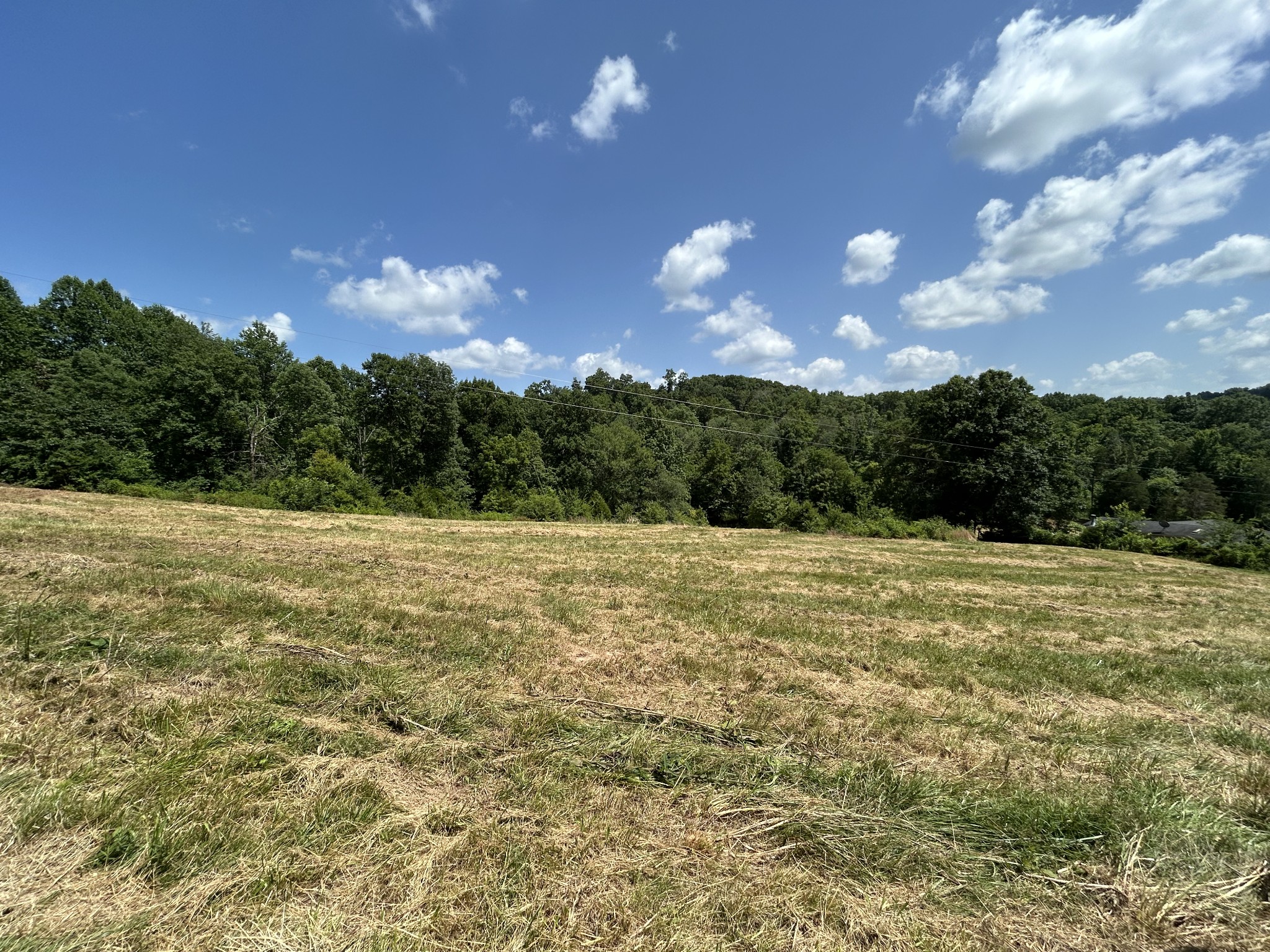 1 New Hope Cemetery Road Pulaski, TN 38478 - Photo 16 of 21