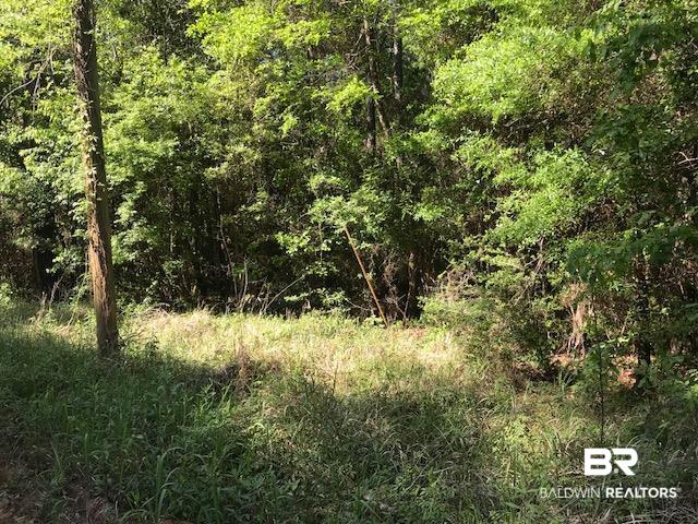 0 Oak Grove Road Eight Mile, AL 36613 - Photo 1 of 6